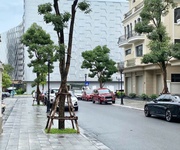 Nhỉnh 20.x tỷ hàng gốc chủ đầu tư căn biệt thự song lập kinh đô 150m    giá siêu rẻ - sổ đỏ vĩnh