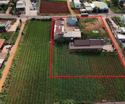 Bán đất ở bồng lai - đức trọng