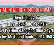 Bán trang trại heo 22 ha 4.800 heo nái -cư jut,  đăk nông. đang cho thuê 2 tỷ/tháng