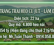 Siêu trang trại heo 22ha - thu nhập cho thuê 24 tỷ/năm