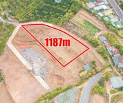 Bán lô đất view rừng thông xuân thọ -  phường xuân trường, đà lạt