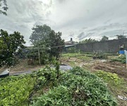 3 Bán gấp - 1510m2 đất mt xuân thới thượng 4-1, hóc môn, 35 tỷ.
