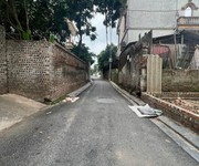 Bán nhà 2 tầng 36m2 thái bình , mai lâm - đông anh. 3,8 tỷ
