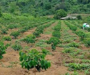 Bán nhanh lô đất vàng kon tum