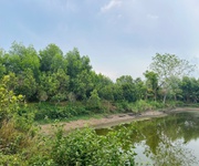 Chính chủ bán 20.000m2 đất tại xã bàu lâm, xuyên mộc - bà rịa vũng tàu