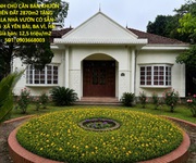 Chính chủ cần bán khuôn viên đất 2870m2 tặng villa nhà vườn có sẵn  tại  xã yên bài, ba vì, hn