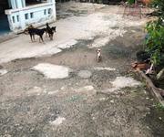 2 Bán lô đất tại ấp 2 xã hưng long huyện bình chánh , tp hcm 2 Bán lô đất tại ấp 2 xã hưng long huyện bình chánh , tp hcm