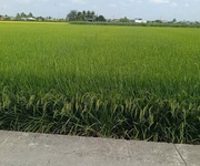 3 F0 thổ cư đường nguyễn văn luỹ 3 F0 thổ cư đường nguyễn văn luỹ