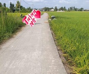 2 F0 thổ cư đường nguyễn văn luỹ 2 F0 thổ cư đường nguyễn văn luỹ