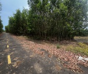 10.598m2 đất Láng Dài - xã Đất Đỏ - TP HCM, mặt tiền đường nhựa dài 185m, giá 8,5 tỷ