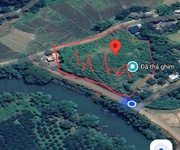 Siêu phẩm 11.000m    có 400m  thổ cư     vị trí: gia mô- tân lạc