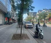 Mặt phố Yên Lãng 295M2 Mặt Tiền 12M 175 Tỷ Cho Thuê giữ nhà 200tr/th