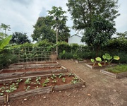 Greenery House - Bà Rịa Vũng Tàu - Sở Hữu nhà vườn nghỉ dưỡng chỉ từ 3 tỷ