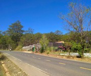 Hot hot   chính chủ cần bán đất view đồi thông, suối tự nhiên   giá tốt   tại lạc dương, lâm đồng