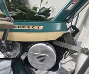1 Siêu Phẩm Xe Đạp Máy Pegueot 102