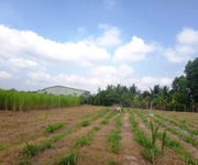 3 Bán đất tây ninh vị trí đẹp đường nhựa 6m giá tốt 3 Bán đất tây ninh vị trí đẹp đường nhựa 6m giá tốt