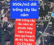 Bán gấp 14.250m  đất trồng cây lâu năm tại xã phước hiệp, huyện củ chi, tp hồ chí minh - chỉ