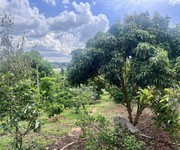 Cần bán nhà vườn nghỉ dưỡng 4800m2 ở ven Đà Lạt