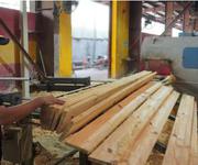 3 Bán nhà xưởng chế biến Gỗ   HÓC MÔN, TP.HCM   14.756m