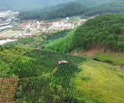 Bán đất nghỉ dưỡng , canh tác tại lang biang, đà lạt , lâm đồng