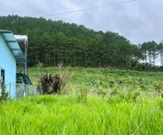 Cần bán đất Nam Ban vùng ven Đà Lạt , nhiều thổ cư , cạnh đồi thông phù hợp nghỉ dưỡng