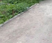 2 Cơ hội sở hữu đất đẹp   đa chất, đại xuyên, phú xuyên