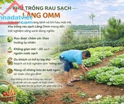 4  Đất nghĩ dưỡng view hồ làng OMM Bảo Lộc chỉ 1.5 tỷ