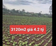 3 Bán 3120m2 đất xã tân hội đức trọng lâm đồng 4,2 tỷ 3 Bán 3120m2 đất xã tân hội đức trọng lâm đồng 4,2 tỷ