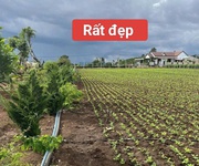 2 Bán 3120m2 đất xã tân hội đức trọng lâm đồng 4,2 tỷ 2 Bán 3120m2 đất xã tân hội đức trọng lâm đồng 4,2 tỷ