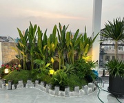 7 Hàng Hiếm Quận 11 , Nhà Mới Thang Máy, Full Nội Thất 7 Hàng Hiếm Quận 11 , Nhà Mới Thang Máy, Full Nội Thất
