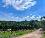 Bán Đất Nam Hà 1.000m  Hai Mặt Tiền   Có Sẵn Cà Phê Thu Hoạch, Không Gian Xanh Ven Đà Lạt