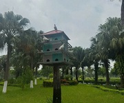 Mik phố nối    ecopark thứ 2  phía đông hà nội