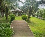 3 Mik phố nối ecopark thứ 2 phía đông hà nội 3 Mik phố nối ecopark thứ 2 phía đông hà nội
