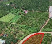 Cần bán lô đất đẹp   vị trí tiềm năng tại xã mê linh - tỉnh lâm đồng