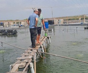 Chính chủ cần bán đất mặt tiền đường lý nhơn   cần giờ, tphcm