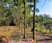 Siêu phẩm 1,7ha nhà yến cùng 500 cây cao su đang thu hoạch, dòng tiền sẵn tại đông hà, bình thuận