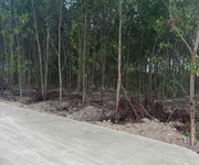 Bán 1148m2 đất tân xuân - hàm tân chỉ 400 triệu/ sào đường bê tông 6m