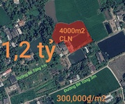 Bán lô đất cây hàng năm khác giá rẻ 1,2 tỷ