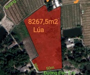 Bán lô đất lúa làm dự án dân cư giá 6,5 tỷ