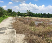 4 Bán lô đất lúa làm dự án dân cư giá 6,5 tỷ