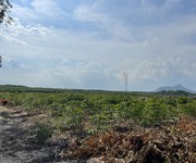 Bán 4 sào đất tân bình, lagi gần đường tránh 719 giá rẻ 300 triệu/ sào