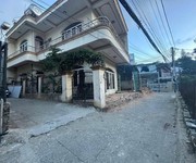 Bán 2 lô mai hắc đế   tt đà lạt