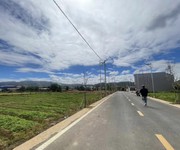 Ngõ mai anh đào xã đức trọng- lâm đồng