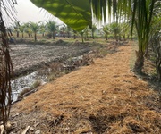 1 Bán 2 Sổ Đất Tân An, Long An Cũ