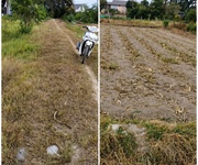 Bán đất giá tốt tại tây ninh   sổ riêng   đường ô tô vào tận nơi