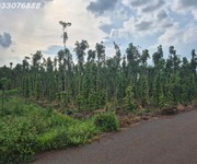 Bán đất tại bình trung, châu đức, bà rịa vũng tàu, dt 1.000m2, giá đầu tư