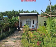 Hot hot   chính chủ cần bán nhà vườn tại thôn an thành, xã duy trung, duy xuyên, quảng nam