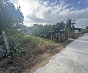 Chính chủ bán 231,2m2 đất sẵn sổ mặt tiền oto tránh tại ninh ích-ninh an