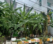 4 Bán đất khu chợ long trường - quận 9 - tp hồ chí minh 4 Bán đất khu chợ long trường - quận 9 - tp hồ chí minh