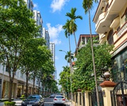 Bán nhà phố đào tấn, ô tô tránh, kinh doanh, 130m, chỉ 71 tỷ